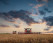 Комбайн зернозбиральний Case IH Axial-Flow 9260
