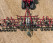 Агрегати для внесення безводного аміаку Case IH Nutri-Placer та Nutri-Tiller