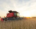 Зернова жниварка Case IH 2030 (Rigid)