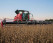 Зернова жниварка Case IH 2030 (Rigid)