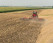 Дискова борона Case IH True-Tandem 375