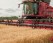Зернова жниварка Case IH 2030 (Rigid)